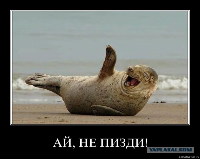 Как я разрушил мечты двух маленьких девочек