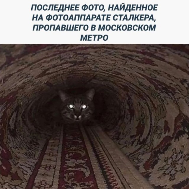 Картинки для деградации 243 (разной степени свежести)