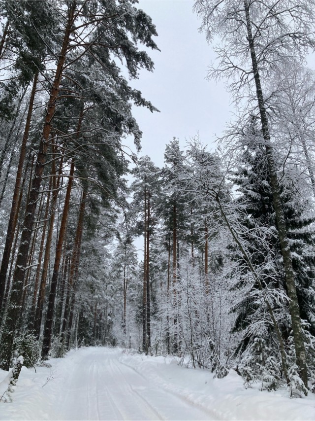 Смотри на небо
