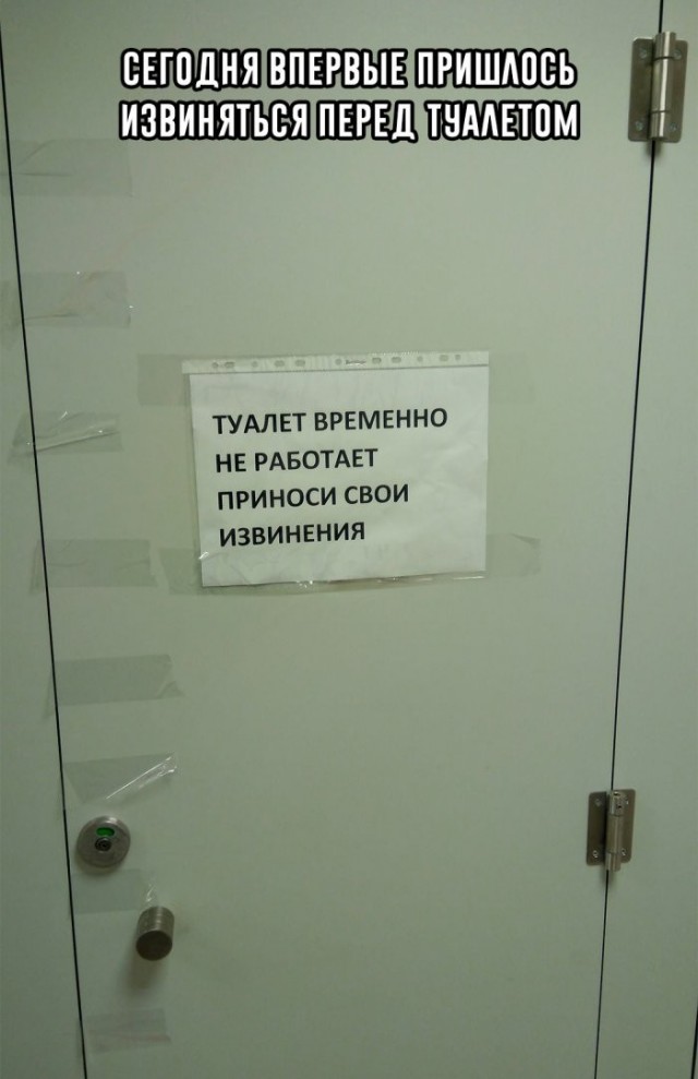 Веселые картинки в понедельник (17.08)