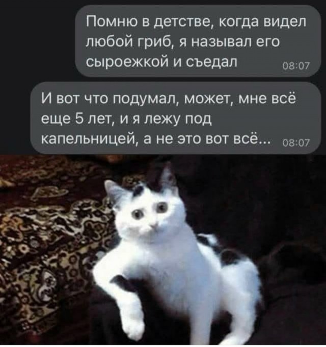 Веселые картинки в понедельник (12.10)