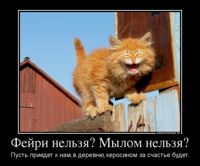 Купание кота в раковине