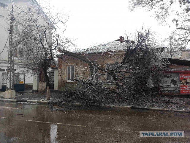 Краснодар в глазури