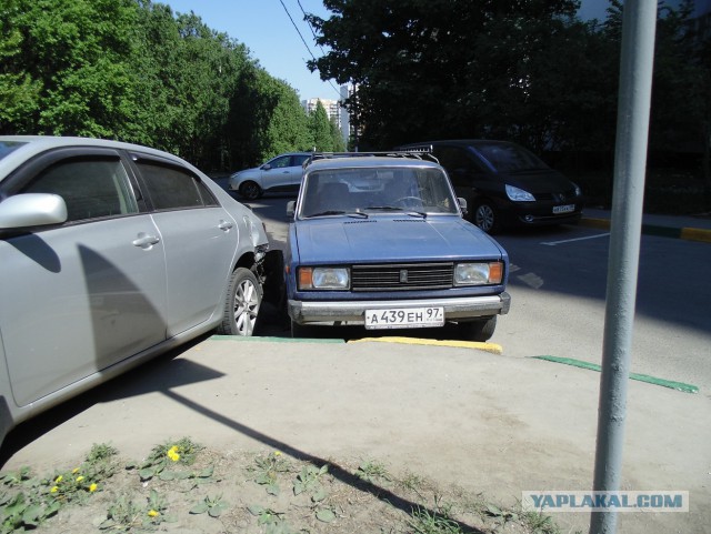 Автоботаник. Отчет №2 "исправление" косяков