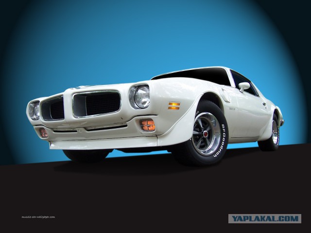 Muscle cars. История сумасшествия