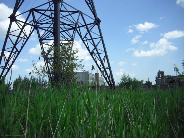 В черном городе