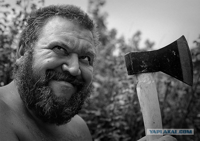 Жителя двора задолбала сигнализация. Взял топор