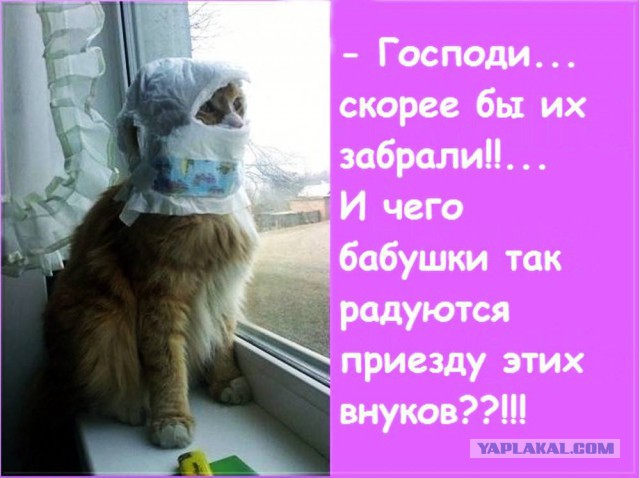 Подборка прикольных фото на пятницу