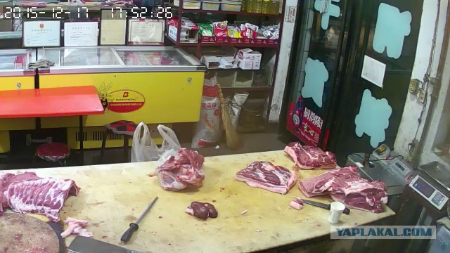 За что я люблю китайцев