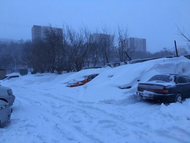 А во Владивостоке снова снежок