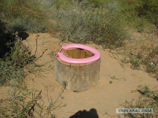 Подборка интересных и веселых картинок