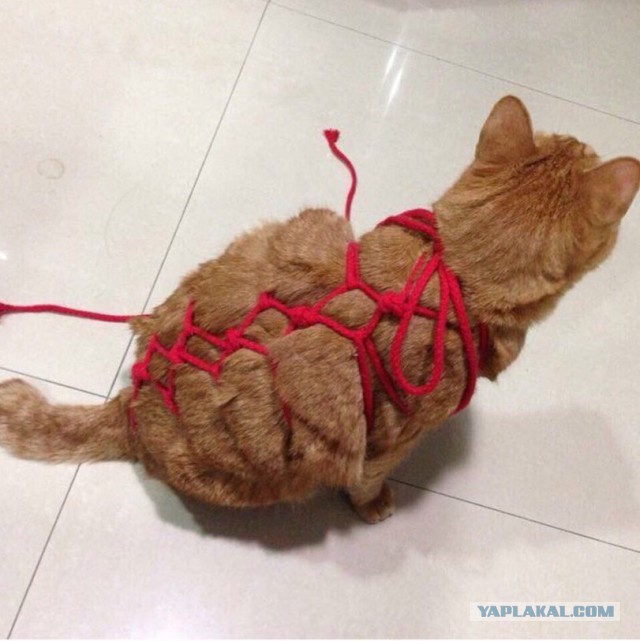 Подборка интересных и красивых фото