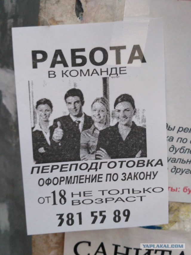 Несколько фоток