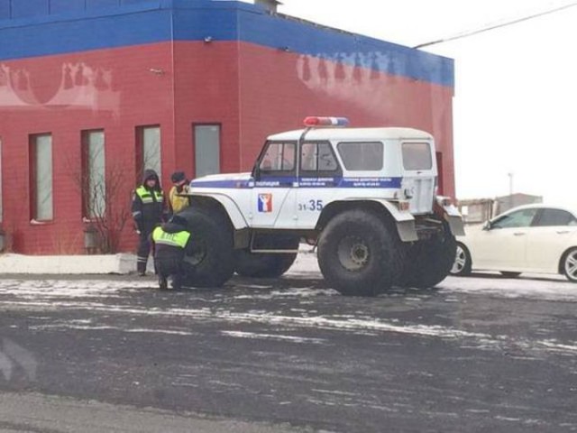 Подборка безудержного веселья