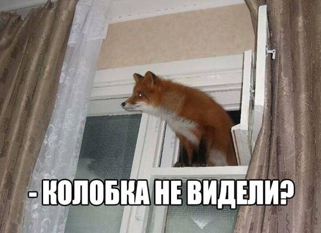 Добавлю картинок на Воскресение