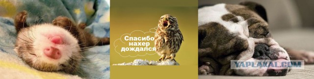 Настоящая Испания изнутри: как живут в испанской глубинке