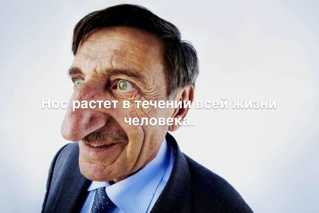 35 занимательных фактов