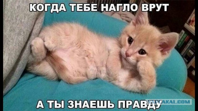 Приколюхи в стиле "Когда..."