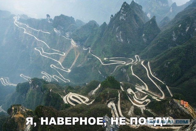 Подборка фот и картинок