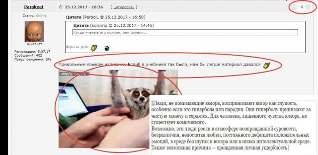 Лемур Лори