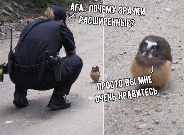 Нестандартный юмор