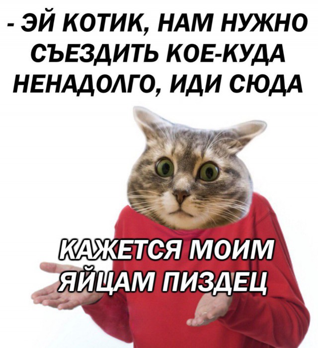 Оп! Деградация подоспела, разбирайте!