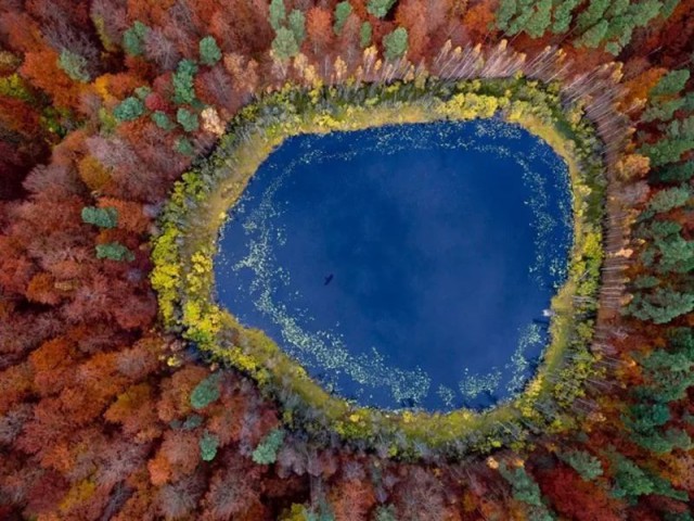 Снимки реальности, от которых нервно курит "фотошоп".