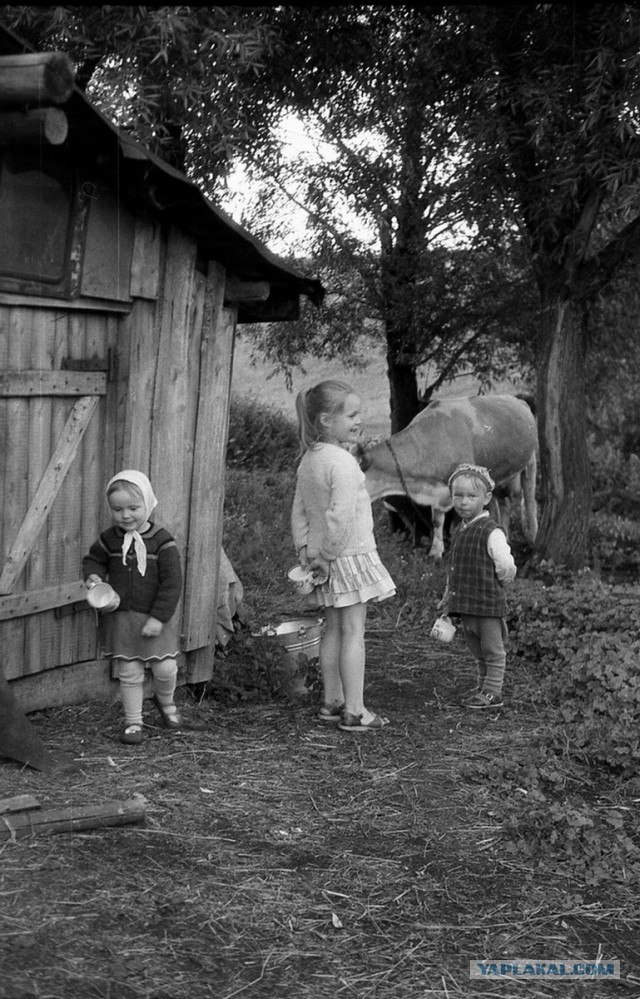 Владимир Воробьев: CCCР (подборка фотографий)