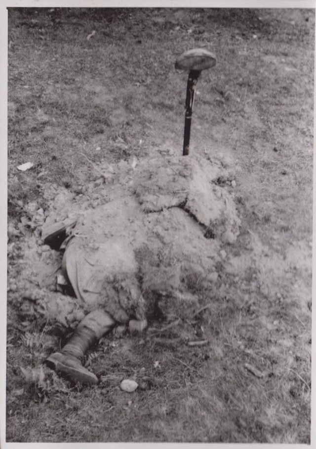 История в фотографиях