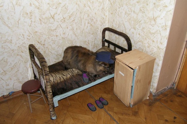 Побег почти удался