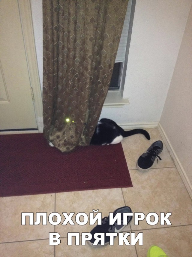 Немного милоты