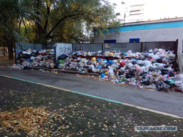 Челябинск завален мусором