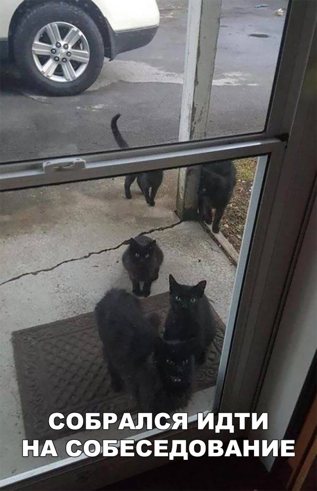 Немного милоты
