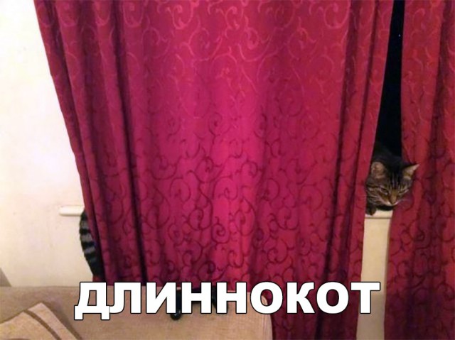 Нестандартный юмор