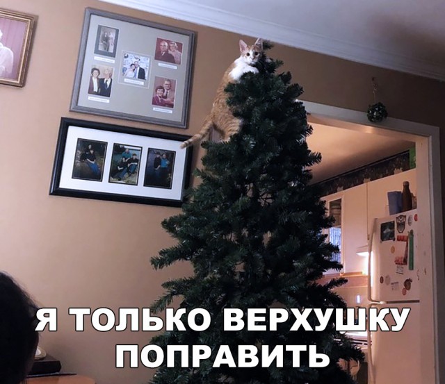 Немного милоты
