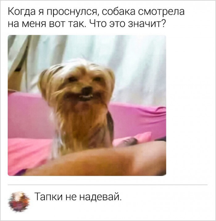 Немного картинок для настроения