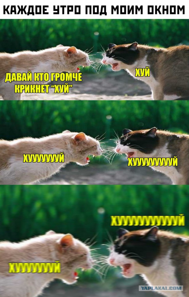 Специфический такой юмор