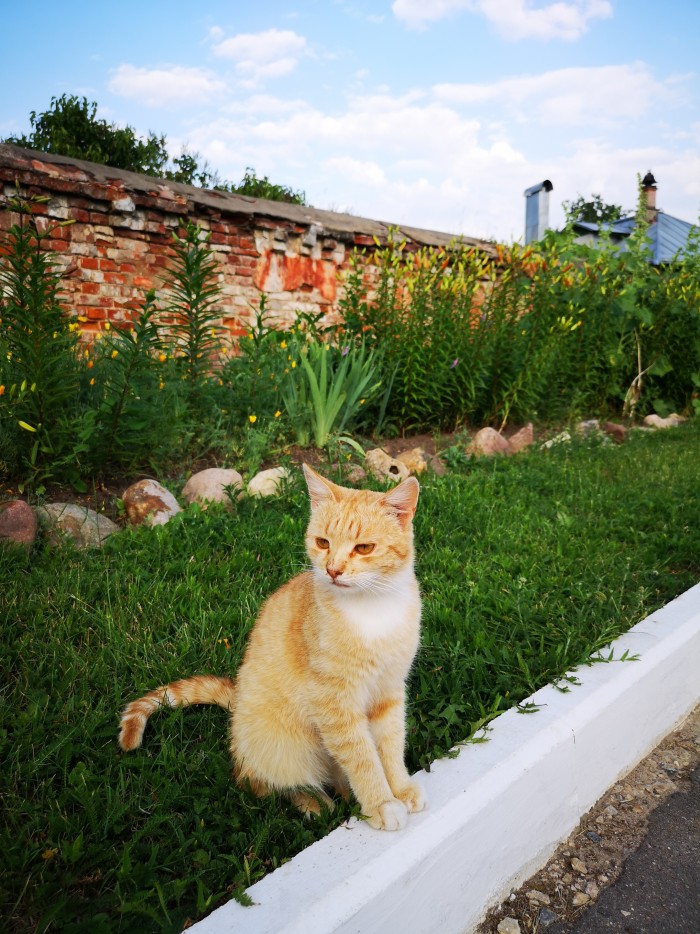 Сам себе фотограф