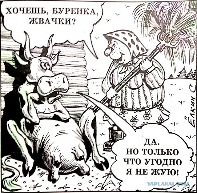 Сергей Елкин и ТВ реклама 90-х