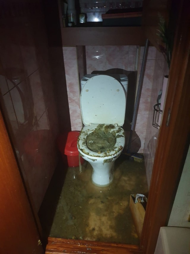 Никогда не смывайте лоток в унитаз