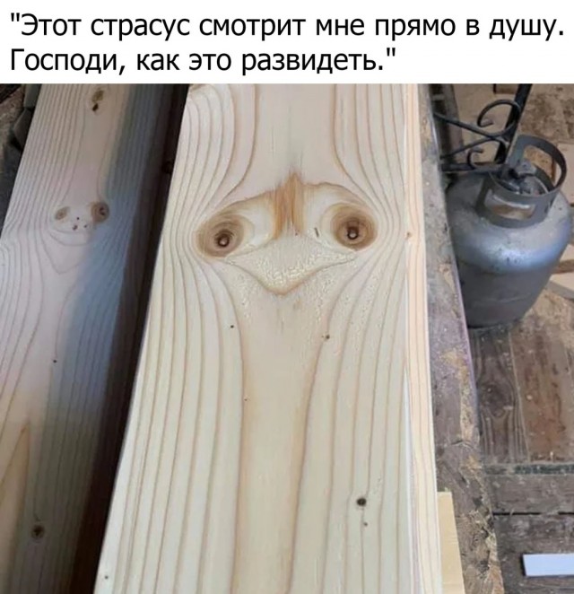 Карантинки