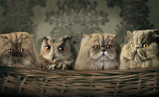 На Восточном фронте без перемен