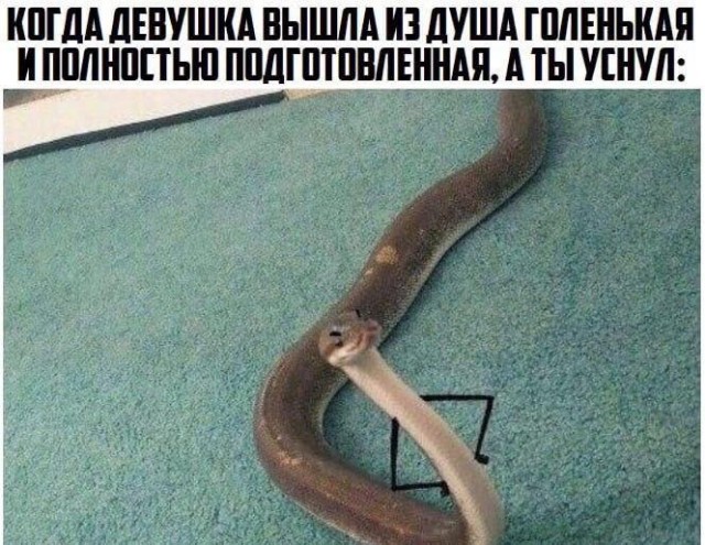 Очень пошлые картинки про это.18+