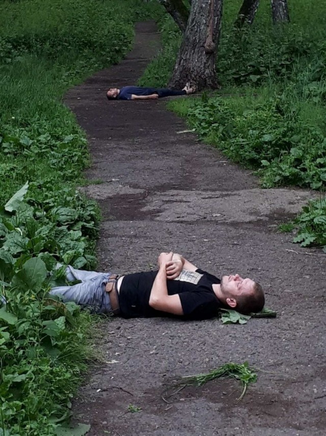 Скотсети и прочие интернеты 13.07.2020