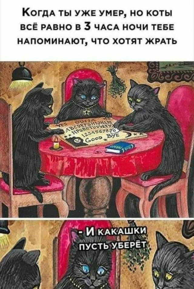 Юмор в картинках 6.12.20