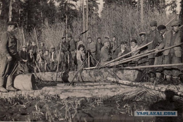 Письма немецких солдат 1941 года (сборник 1)