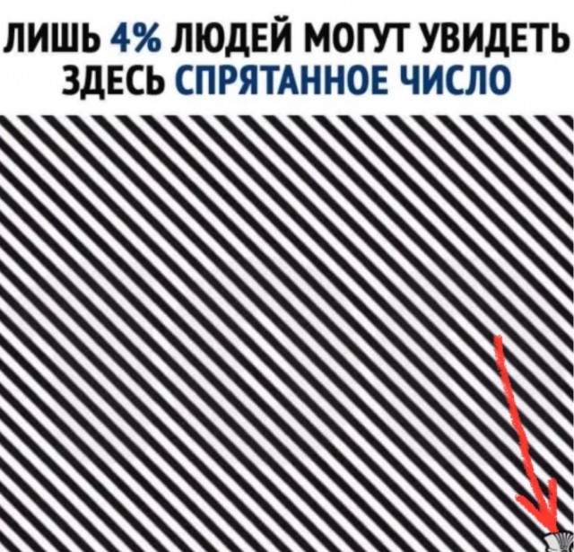 Бредзона 21.02.21