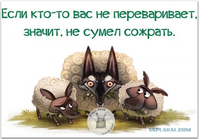 Русский гений: 10 фактов о Ростроповиче