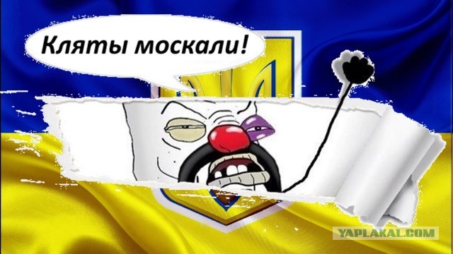 Сеть ответила мемами на звонок Байдена Зеленскому