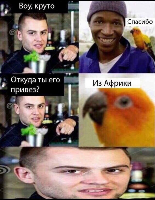 Кофе за 300